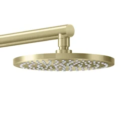AQUAS AquaMax Flex Manual Smart 9.5KW Brushed Brass Electric Shower -Villeroy Shop a000524 d2