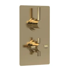 Hudson Reed Tec Pura Concealed Twin Shower Valve With Built-in Diverter - Brushed Brass