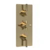 Hudson Reed Tec Pura Plus Concealed Thermostatic Triple Shower Valve With Diverter - Brushed Brass