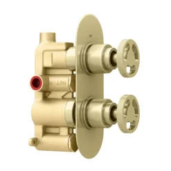 Arezzo Brushed Brass Industrial Style Round Modern Twin Concealed Shower Valve
