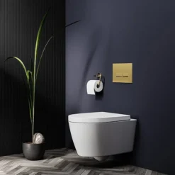 Arezzo Compact Top/Front Flush Toilet Frame With Brushed Brass Flush - Square Buttons -Villeroy Shop azcfsbb detail01