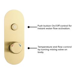 Arezzo Brushed Brass Industrial Style Push Button Shower Valve (1 Outlet) -Villeroy Shop azpb01rbb d1n