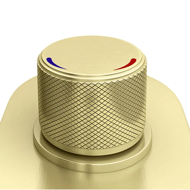 Arezzo Brushed Brass Industrial Style Push Button Shower Valve (2 Outlets) 1 Arezzo Brushed Brass Industrial Style Push Button Shower Valve (2 Outlets)