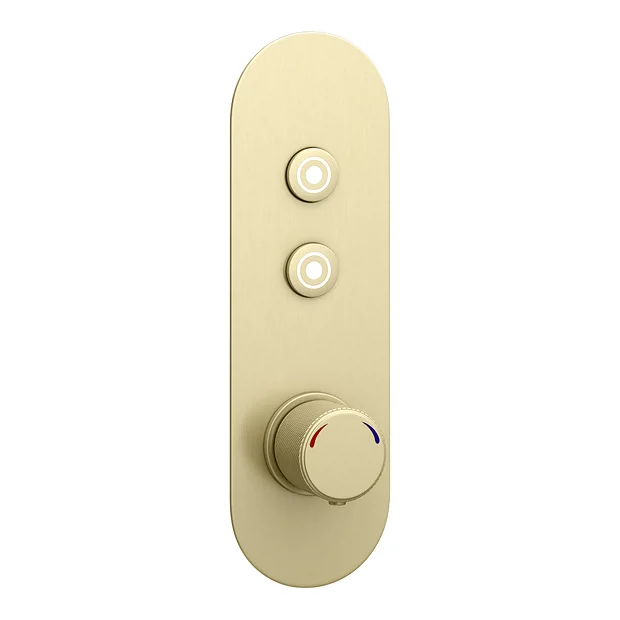 Arezzo Brushed Brass Industrial Style Push Button Shower Valve (2 Outlets) 2 Arezzo Brushed Brass Industrial Style Push Button Shower Valve (2 Outlets) - Image 2