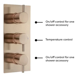 Arezzo Rose Gold Round Thermostatic Shower Pack With Wall Mounted Head + Handset -Villeroy Shop azrgspk4 detail4