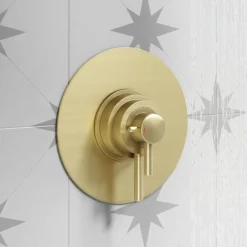 Arezzo Brushed Brass Round Concealed Dual Thermostatic Shower Valve -Villeroy Shop azsv4bb d2