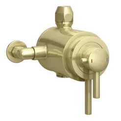 Arezzo Brushed Brass Round Concealed Dual Thermostatic Shower Valve -Villeroy Shop azsv4bb n d1