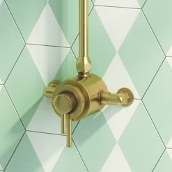 Arezzo Brushed Brass Round Exposed Dual Thermostatic Shower Valve -Villeroy Shop azsv4bbe d1