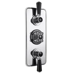 Bayswater Black Triple Concealed Thermostatic Shower Valve With Diverter