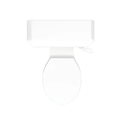 Nuie Carlton Traditional Toilet With Seat