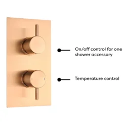 Arezzo Brushed Bronze Round Shower Package With Concealed Valve + Head -Villeroy Shop rd2bzpk d4