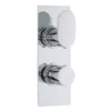 Hudson Reed Reign Twin Concealed Thermostatic Shower Valve W/ Diverter - Square Plate