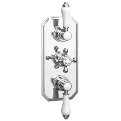 Trafalgar Traditional Dual Shower Heads With Concealed Valve -Villeroy Shop tsv63pkd d1